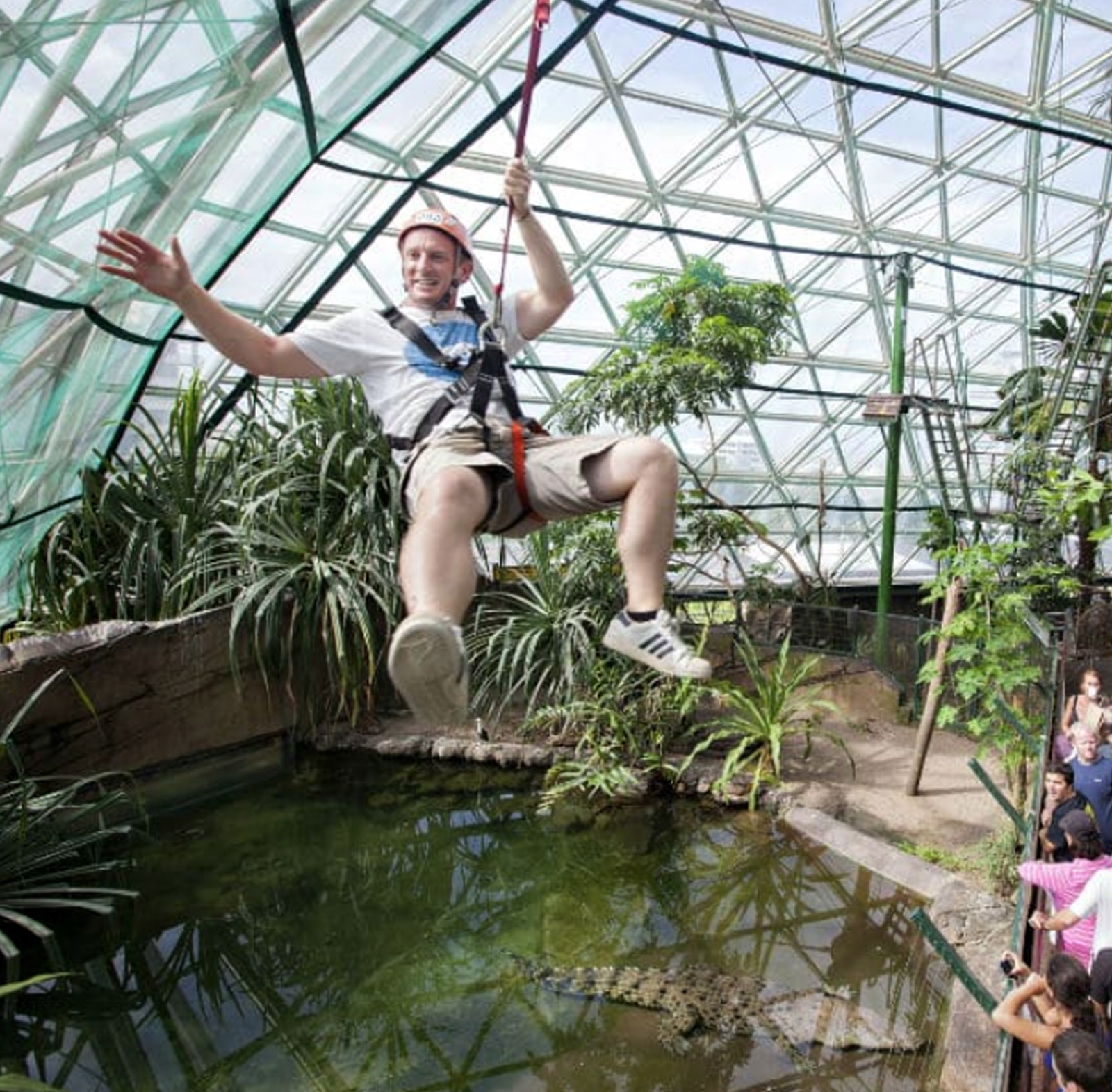 Cairns wildlife dome