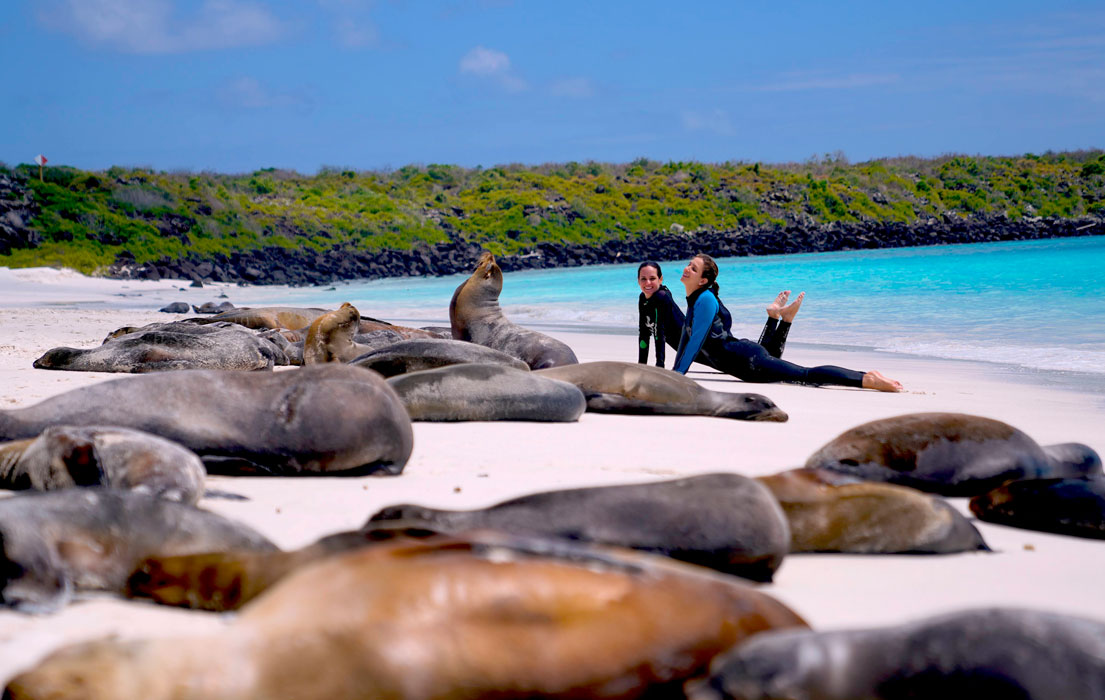 Two women on beach with sea lions.