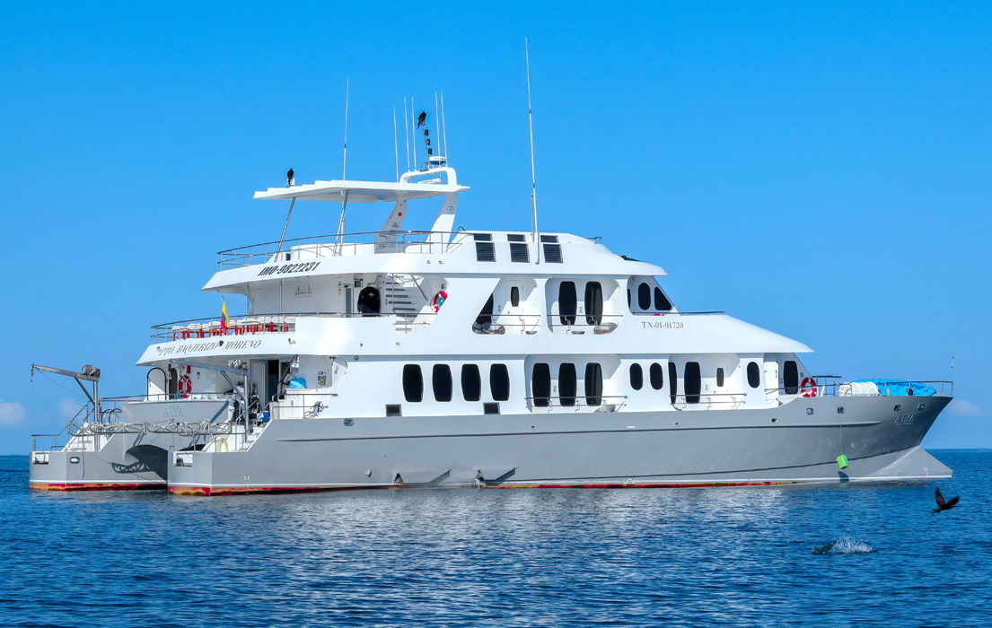 Alya luxury catamaran in the Galápagos