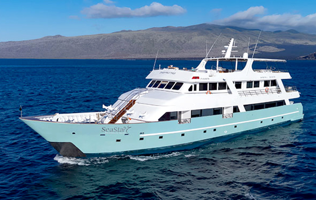 Royal-Galapagos-Sea-Star-at-sea Royal Galapagos Sea Star at sea