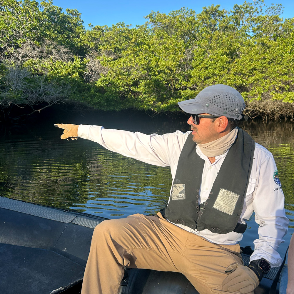 Paco-guiding-in-Galapagos-Mangroves A naturalist guide pointing out Galápagos wildlife to a small group.