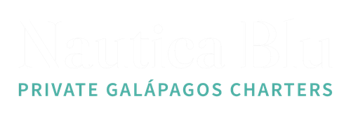 Nautica Blu Logo